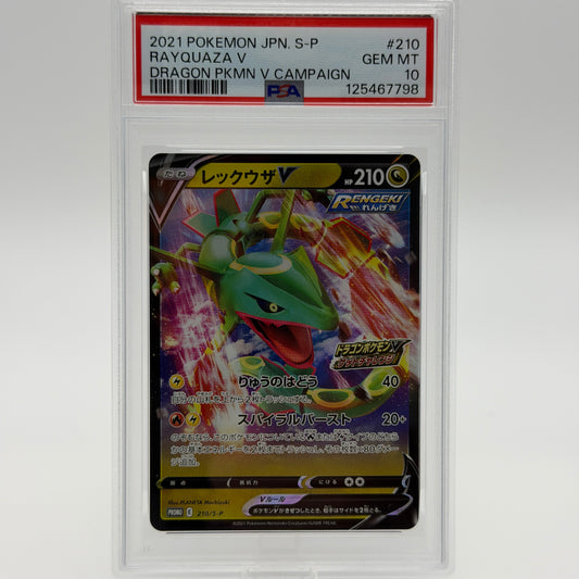 Rayquaza V PSA 10 – Dragon Pokémon V Campaign (210/S-P) JP – Vorderseite PSA Slab